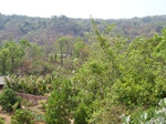 1729620042008(79).JPG
