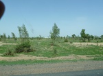 19247P1010093.JPG