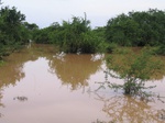 1048237-wetlands-seasonal-closelook.gif