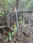 2012-09-24_10-40-14_DSC03058.JPG