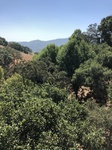 2018-09-05_14-03-20_342F20C6-3372-4E25-86E1-2A52228285D3.jpg