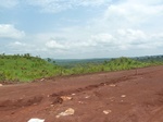 19749P1010598.JPG