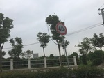 2017-09-10_07-06-52_C9AA4C2A-098D-4A2D-9B1C-3D69585E7C1D.jpg