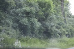 2022-06-11_16-04-25_D37CBFD1-4E53-4A28-82D1-628F9818E861.jpeg