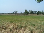 482802052008(25).JPG