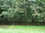 20391P1020248.JPG