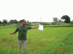 5996002c-irrigated-groundwater-valleybottom-rice.jpg