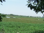 17319100_2005.JPG