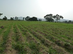 18894P1000736.JPG
