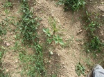18895P1000737.JPG
