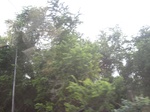 13384IMG_3746.JPG