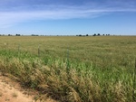 2016-07-12_15-02-45_7AB0D1B1-EA07-44ED-AC23-3E0270D2FA3A.jpg
