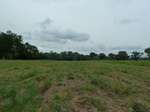 18575P1000411.JPG