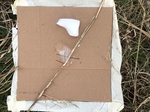 2020-10-30_10-44-36_Lake Arcadia Feb 15-2020 Trap 4.png