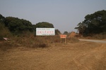 4521IMG_8755.JPG