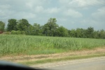 2022-05-26_15-17-33_86CDC801-F5AF-42D0-8D6D-83AA74CD11D6.jpeg