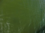 2012-09-21_14-27-04_CIMG3119.JPG
