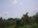 3753RIMG0057.JPG