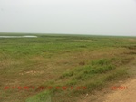 38844CIMG4767.gps.jpg