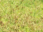 17570100_2506.JPG