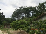 2012-09-26_20-48-16_CIMG1003.JPG