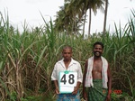6267048a-irrigated-classic-supplemental-groundwater-sugarcane-dominant-cotton-groundnut-coconut-doublecrop.jpg