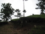 15285IMG_4116.JPG