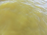 2012-09-21_14-27-11_CIMG0039.JPG