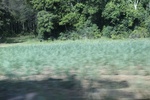 2022-06-11_16-04-44_E34E32D7-6AF0-49DD-9ED2-755FBE3B2980.jpeg