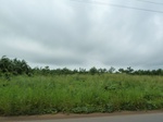 20387P1020244.JPG