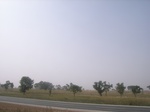 9091RIMG0171.JPG