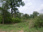 3751RIMG0055.JPG