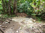 20589P1020446.JPG