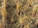 3331R0017370.JPG
