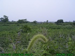 828R0015380_tag.jpg