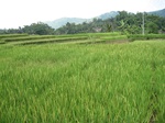 13753IMG_4014.JPG
