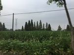 2017-09-10_20-48-47_8A3AAF04-5B0B-4549-95D8-58CB8EC612D0.jpg