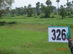 74820326c-irrigated-canal-rice.jpg