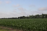 2022-05-26_14-05-23_9A19A84A-4254-4A80-9A25-8C7D9E63E251.jpeg