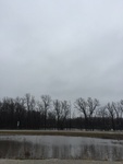 2018-02-21_13-24-59_FC647074-4776-4C8C-BB29-641FFAA78399.jpg
