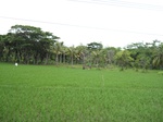 15762IMG_4851.JPG