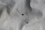 342IMG_3451.JPG