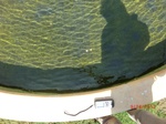 2012-10-02_19-50-17_CIMG0065.JPG
