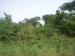 3733RIMG0036.JPG