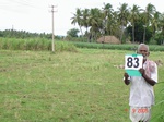 6380083c-irrigated-supplemental-major-tubewell-sugarcane-groundnut.jpg