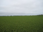 15743IMG_4831.JPG