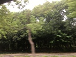 2017-09-10_07-05-09_90EC0F9B-9447-401B-B0A9-CA8D81AC3AC4.jpg