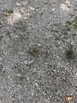 2017-07-04_15-49-59_6ABA0EB9-365C-4F61-B433-5DBA6418CE01.jpg