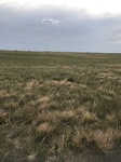 2017-07-02_18-57-06_690AE9C0-F463-4A66-B21F-1C571778BECD.jpg