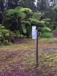 2012-10-04_13-59-47_HI-HI-13.JPG